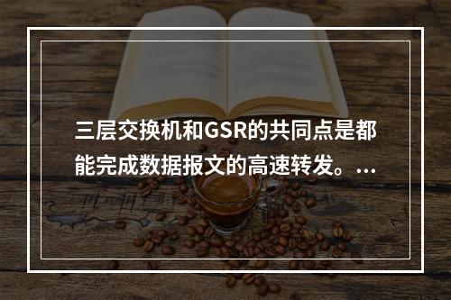 三层交换机和GSR的共同点是都能完成数据报文的高速转发。（）