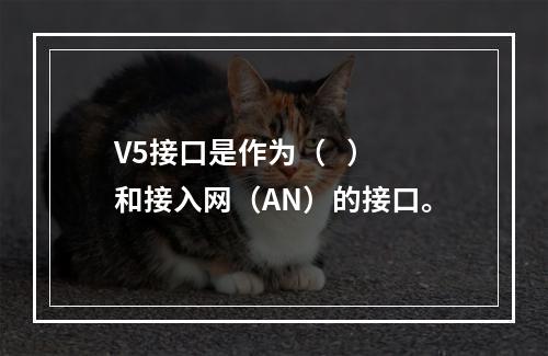 V5接口是作为（   ）和接入网（AN）的接口。