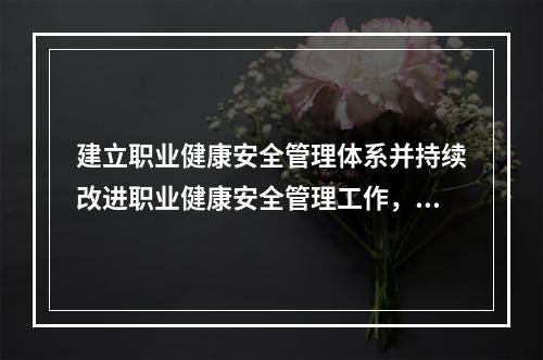 建立职业健康安全管理体系并持续改进职业健康安全管理工作，应坚