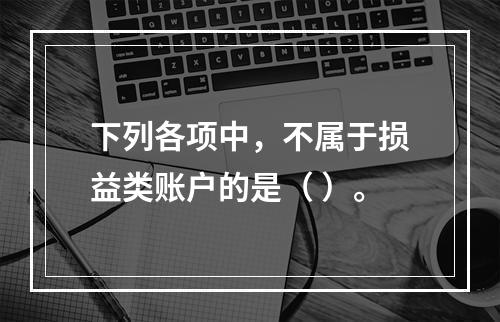 下列各项中，不属于损益类账户的是（ ）。