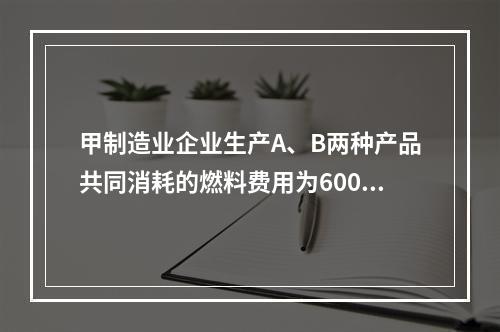 甲制造业企业生产A、B两种产品共同消耗的燃料费用为6000元