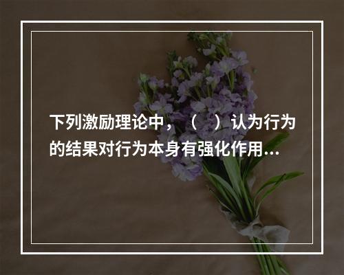 下列激励理论中，（　）认为行为的结果对行为本身有强化作用，是