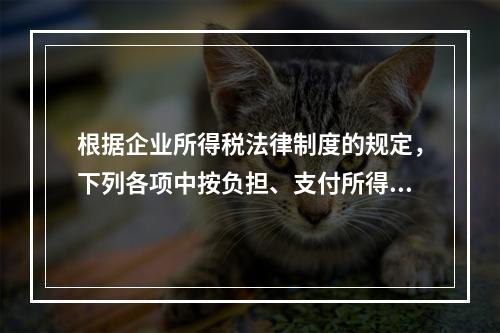 根据企业所得税法律制度的规定，下列各项中按负担、支付所得的企