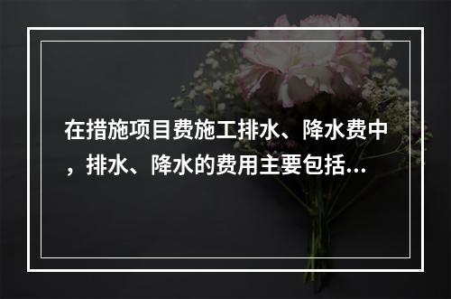 在措施项目费施工排水、降水费中，排水、降水的费用主要包括（）