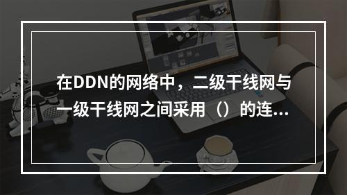 在DDN的网络中，二级干线网与一级干线网之间采用（）的连接方