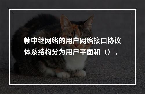 帧中继网络的用户网络接口协议体系结构分为用户平面和（）。