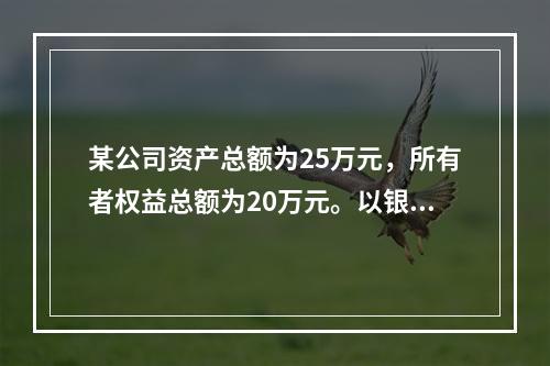 某公司资产总额为25万元，所有者权益总额为20万元。以银行存