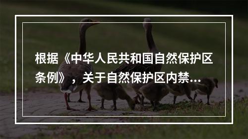 根据《中华人民共和国自然保护区条例》，关于自然保护区内禁止行