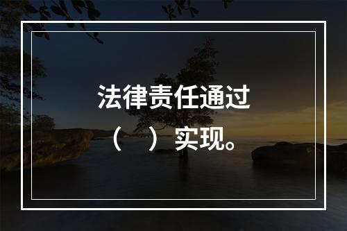 法律责任通过（　）实现。