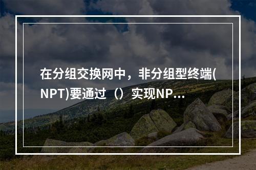 在分组交换网中，非分组型终端(NPT)要通过（）实现NPT所