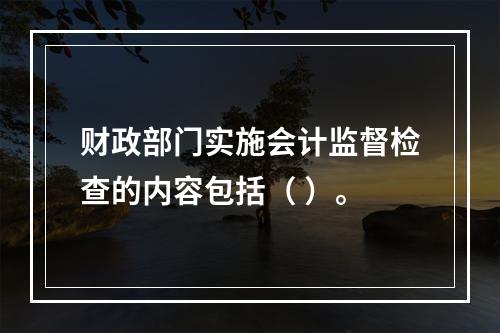 财政部门实施会计监督检查的内容包括（ ）。