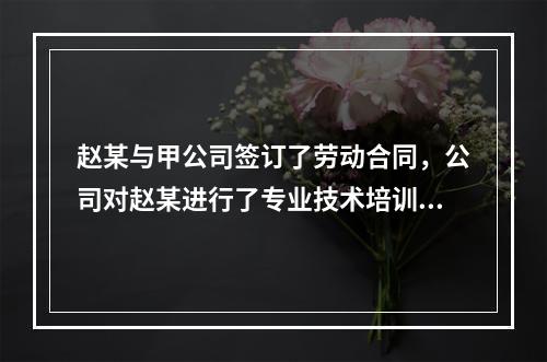 赵某与甲公司签订了劳动合同，公司对赵某进行了专业技术培训，支