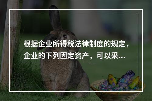 根据企业所得税法律制度的规定，企业的下列固定资产，可以采用加