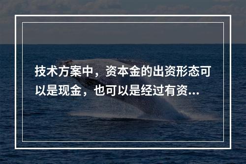 技术方案中，资本金的出资形态可以是现金，也可以是经过有资格的