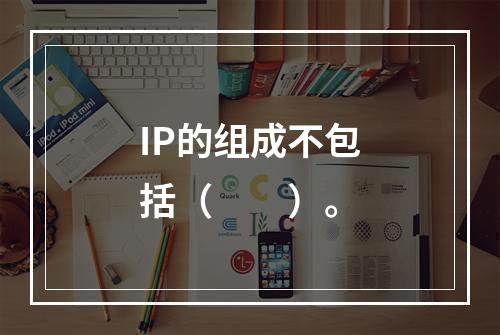 IP的组成不包括（　　）。