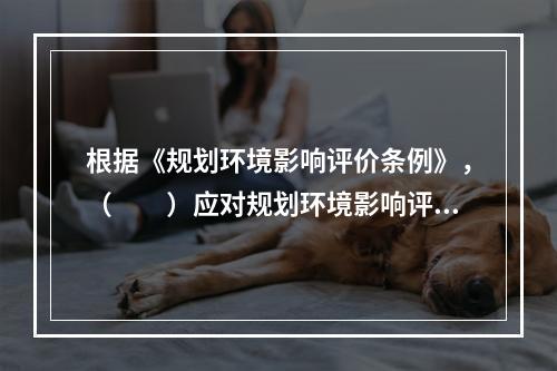 根据《规划环境影响评价条例》，（　　）应对规划环境影响评价文