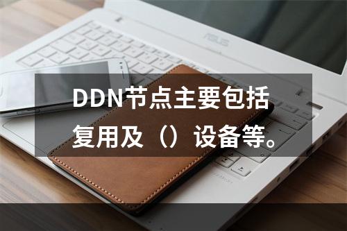 DDN节点主要包括复用及（）设备等。