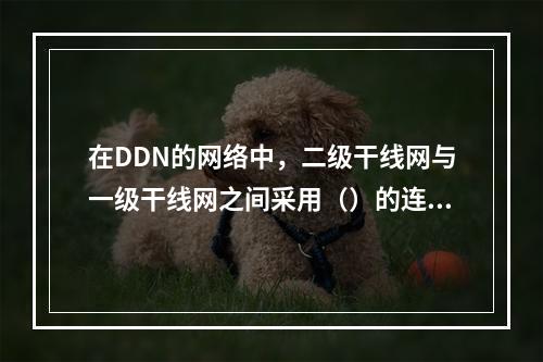 在DDN的网络中，二级干线网与一级干线网之间采用（）的连接方