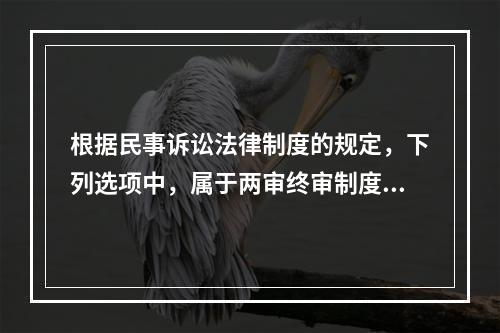 根据民事诉讼法律制度的规定，下列选项中，属于两审终审制度例外