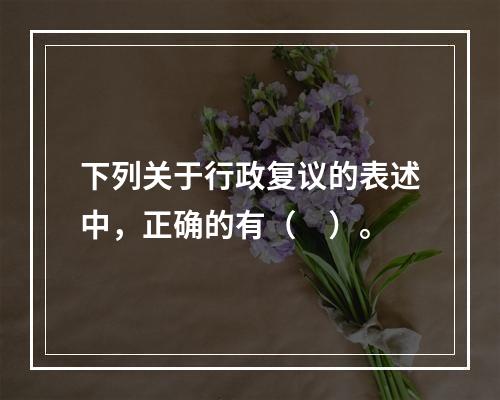 下列关于行政复议的表述中，正确的有（　）。