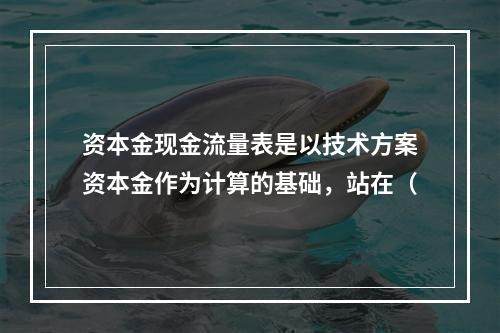 资本金现金流量表是以技术方案资本金作为计算的基础，站在（