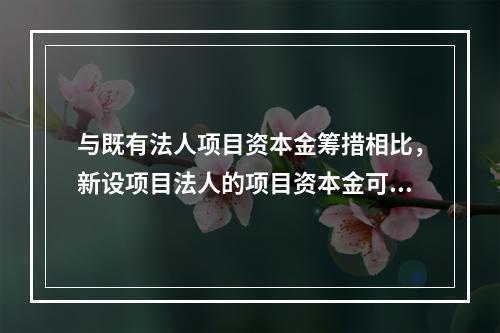 与既有法人项目资本金筹措相比，新设项目法人的项目资本金可通过