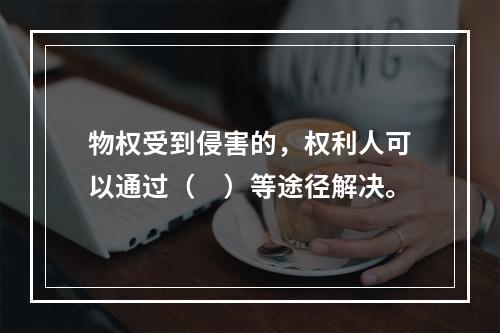 物权受到侵害的，权利人可以通过（　）等途径解决。