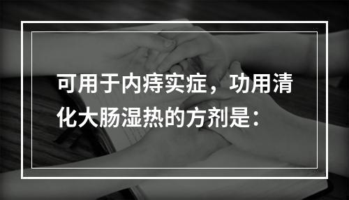 可用于内痔实症，功用清化大肠湿热的方剂是：