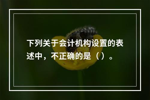 下列关于会计机构设置的表述中，不正确的是（ ）。