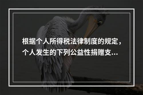 根据个人所得税法律制度的规定，个人发生的下列公益性捐赠支出中