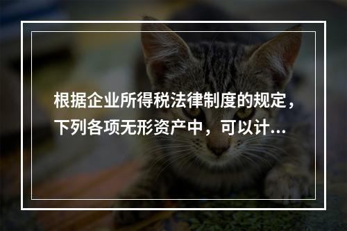 根据企业所得税法律制度的规定，下列各项无形资产中，可以计算摊