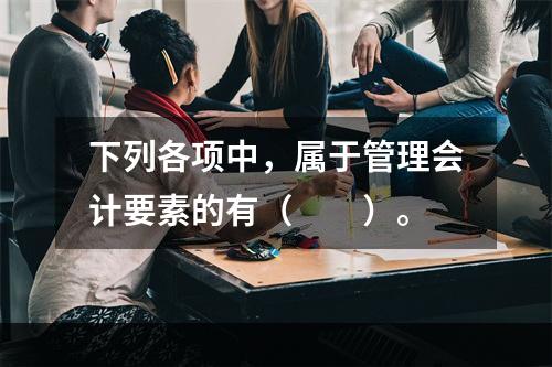 下列各项中，属于管理会计要素的有（　　）。