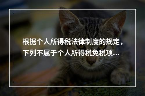 根据个人所得税法律制度的规定，下列不属于个人所得税免税项目的