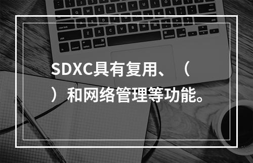 SDXC具有复用、（）和网络管理等功能。