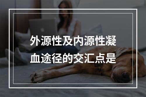 外源性及内源性凝血途径的交汇点是