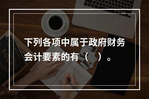 下列各项中属于政府财务会计要素的有（　）。