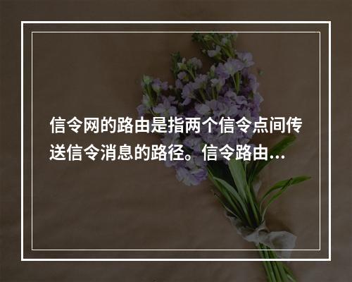 信令网的路由是指两个信令点间传送信令消息的路径。信令路由选择