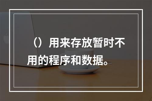 （）用来存放暂时不用的程序和数据。