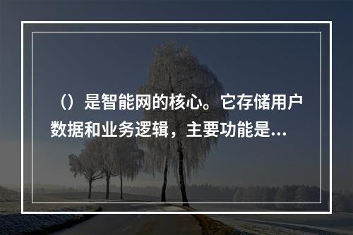 （）是智能网的核心。它存储用户数据和业务逻辑，主要功能是接收