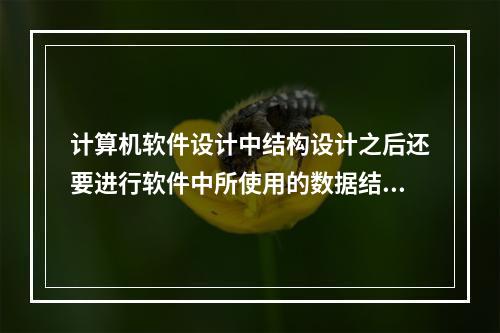 计算机软件设计中结构设计之后还要进行软件中所使用的数据结构及