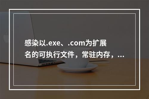 感染以.exe、.com为扩展名的可执行文件，常驻内存，感染