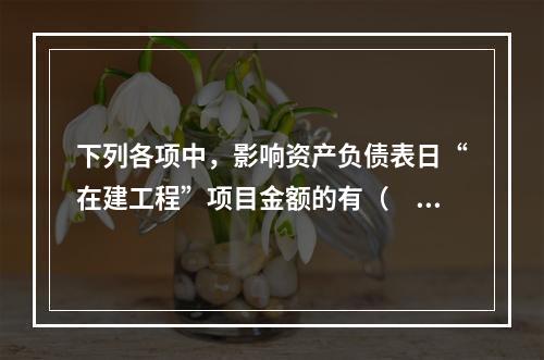 下列各项中，影响资产负债表日“在建工程”项目金额的有（　　）