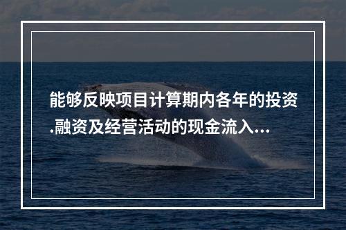 能够反映项目计算期内各年的投资.融资及经营活动的现金流入和流