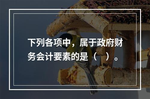 下列各项中，属于政府财务会计要素的是（　）。