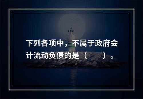 下列各项中，不属于政府会计流动负债的是（　　）。