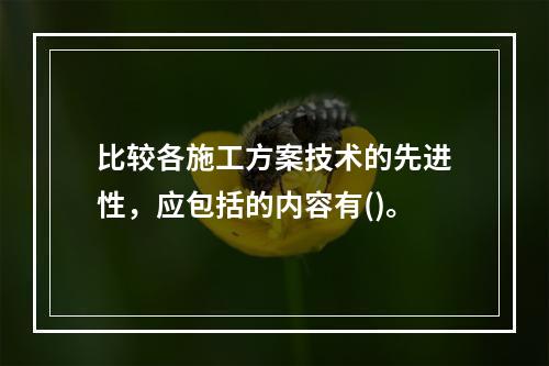 比较各施工方案技术的先进性，应包括的内容有()。