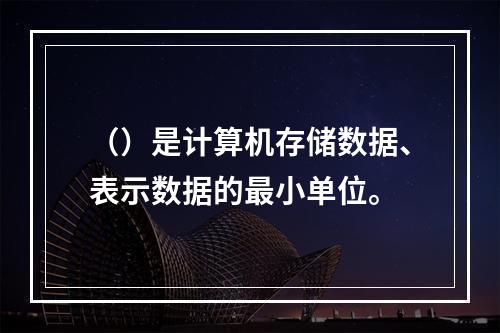 （）是计算机存储数据、表示数据的最小单位。