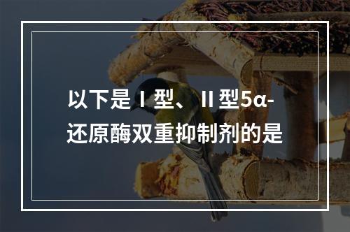 以下是Ⅰ型、Ⅱ型5α-还原酶双重抑制剂的是