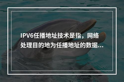 IPV6任播地址技术是指，网络处理目的地为任播地址的数据报的