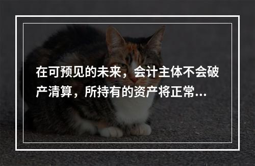 在可预见的未来，会计主体不会破产清算，所持有的资产将正常营运